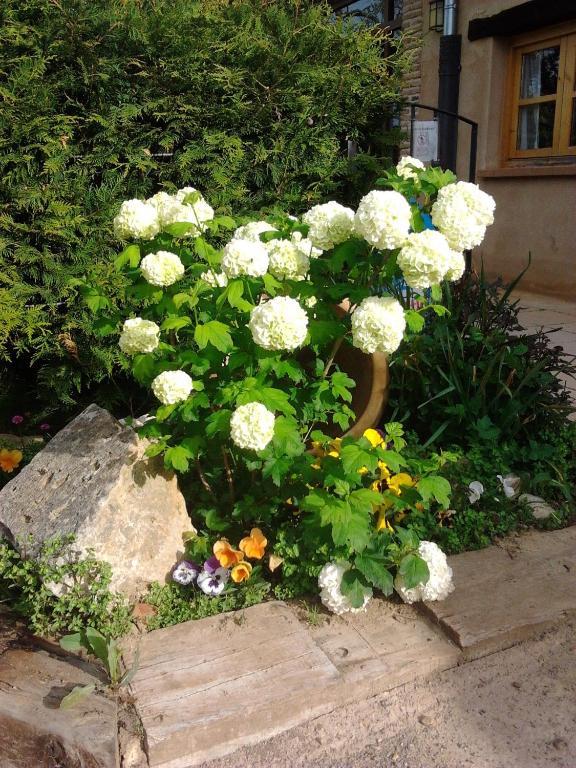 El Jardin De La Huerta Hotel Sahagun Bagian luar foto